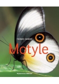 Motyle