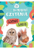 Wyrazy i zdania do nauki Tajemnice zwierząt