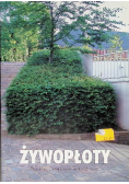 Żywopłoty