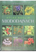 Atlas roślin miododajnych