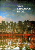 Przy sadzawce Siloe