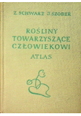 Rośliny towarzyszące człowiekowi