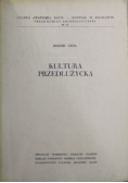 Kultura Przedłużycka
