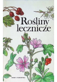 Rośliny lecznicze
