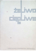 Żeliwo ciągliwe