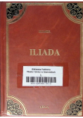 Homer Iliada