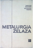 Metalurgia żelaza