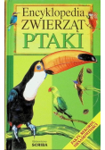 Encyklopedia Zwierząt Ptaki