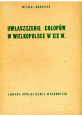 Uwłaszczenie chłopów w Wielkopolsce w XIX w