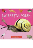 Zwierzęta Polski