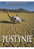 Pustynie