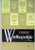 Dzieje Wielkopolski w wypisach
