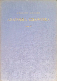 Anatomia człowieka Tom V