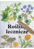 Rośliny lecznicze