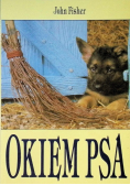 Okiem psa