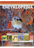 Encyklopedia Przyrody Zwierzęta Tom 18