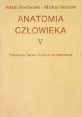 Anatomia człowieka Tom V