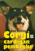 Corgi cardigan pembroke