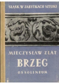 Śląsk w zabytkach sztuki Brzeg