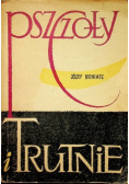 Pszczoły i trutnie