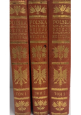 Polska jej dzieje i kultura Tom I do III Reprint z 1927 r.