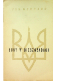 Łuny w Bieszczadach