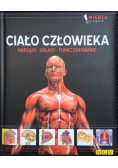 Ciało człowieka narządy układy funkcjonowanie