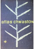 Atlas chwastów