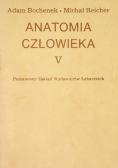 Anatomia człowieka Tom V