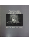 Między wami Polakami