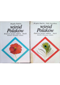 Wśród Polaków, Tom I i II