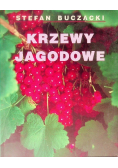 Krzewy Jagodowe