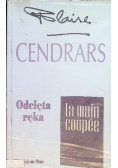 Odcięta ręka