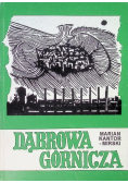 Dąbrowa górnicza