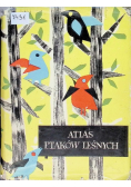 Atlas ptaków leśnych