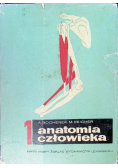 Anatomia człowieka Tom I