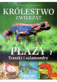 Królestwo zwierząt Tom 7 Płazy Traszki i salamandry