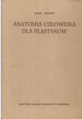 Anatomia człowieka dla  plastyków