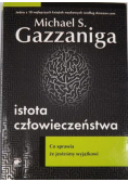 Istota człowieczeństwa