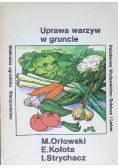 Uprawa warzyw w gruncie