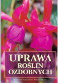 Uprawa roślin ozdobnych