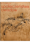 Społeczeństwa owadów