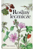 Rośliny lecznicze