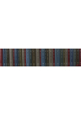 Biblioteka Gazety Wyborczej Wiek XIX Tom 1 do 30