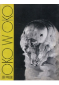 Oko w oko