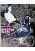 Hodowla gołębi