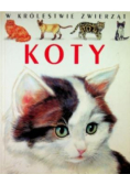 Koty