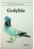 Gołębie Leksykon Przyrody