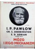 Mózg  i jego mechanizm 1945 r.