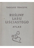 Rośliny lasu liściastego Atlas